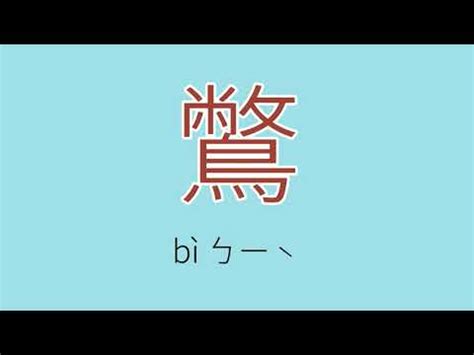 媃 讀音|漢字「鼟」：基本資料